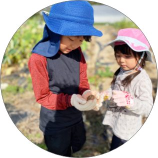 子供たちの農業体験の様子